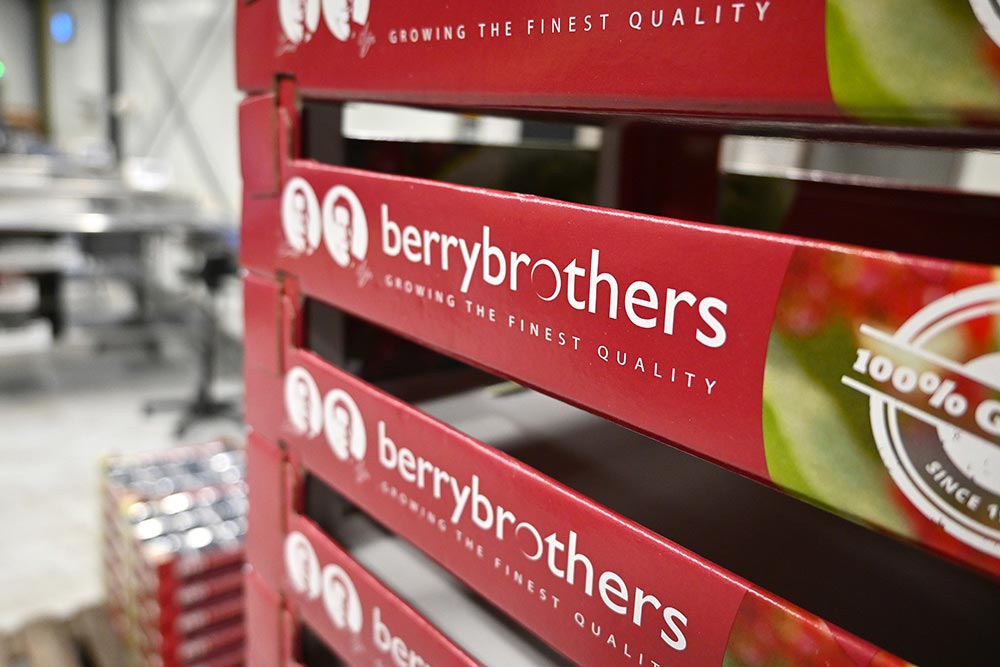 Berrybrothers ready to sort blueberries