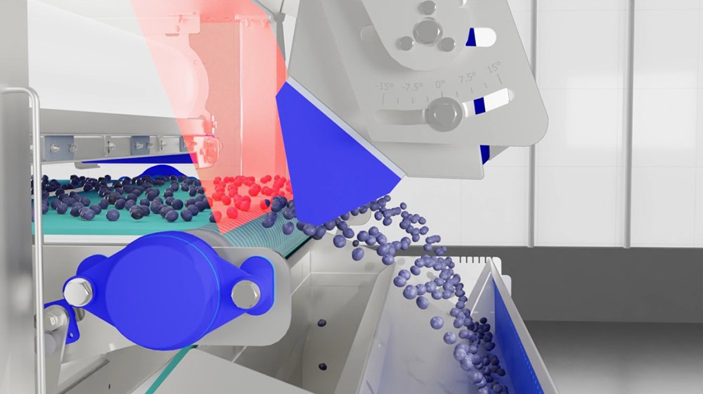 Laser inspection of berries on a Magnus sorter