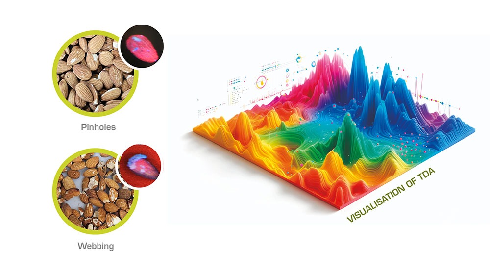 Visualisation of TDA