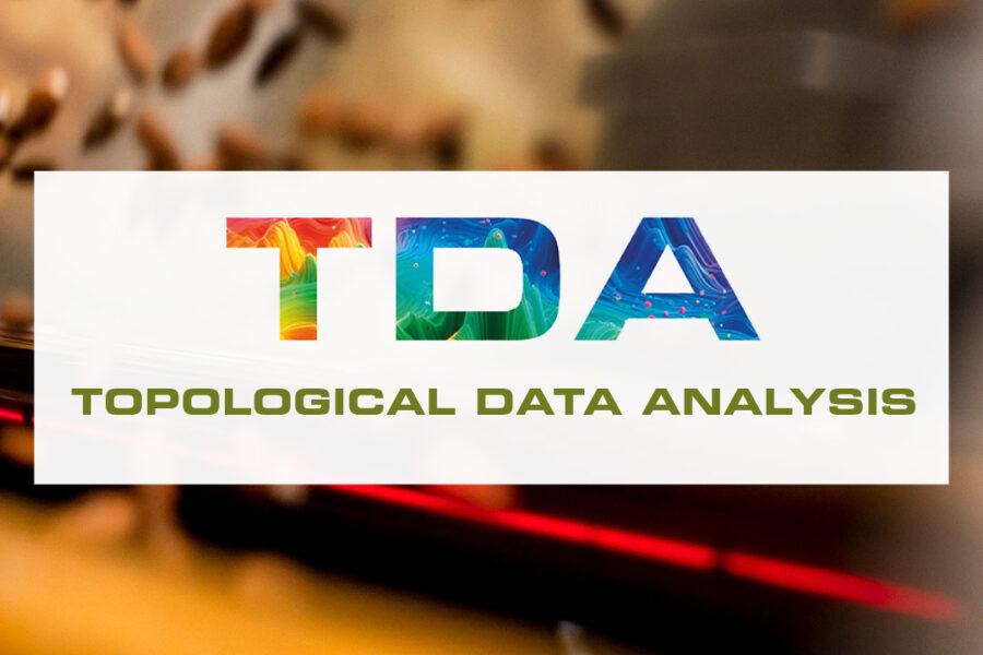 Topological data analysis