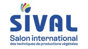 Sival